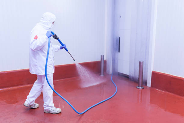 Best Boat and Dock Cleaning  in Jersey Village, TX