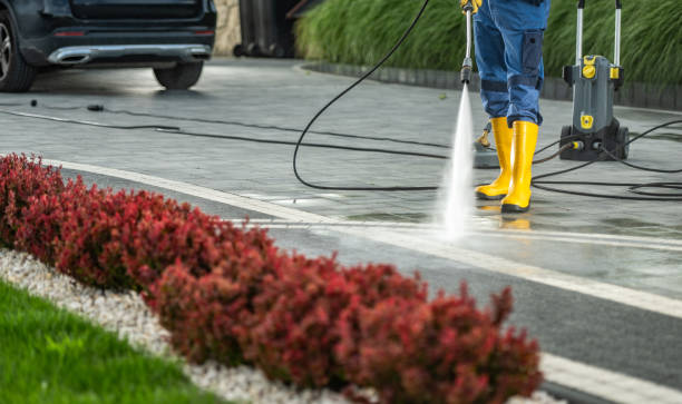 Best Gutter Cleaning  in Jersey Village, TX